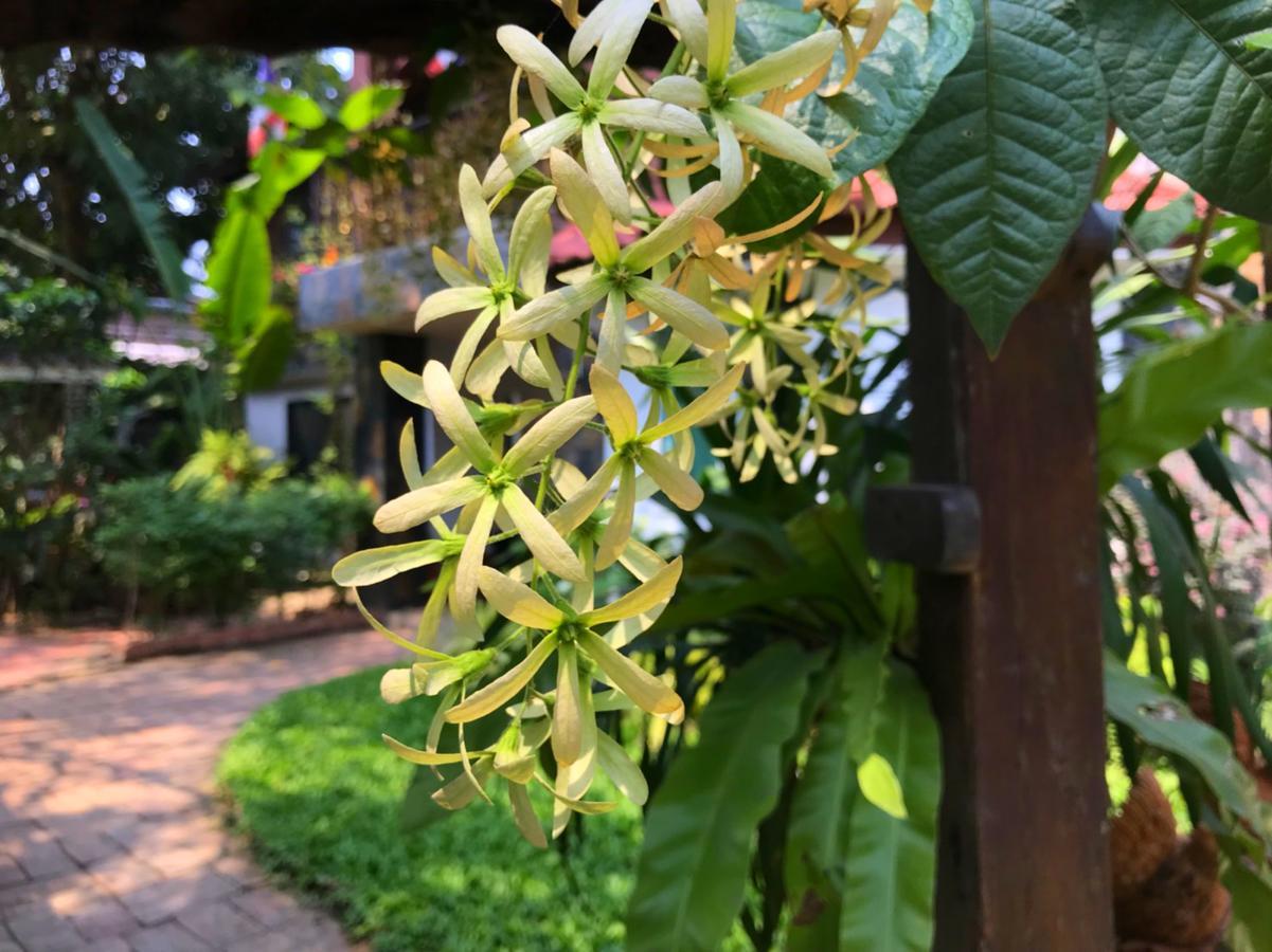 Moradok Thai Guesthouse Ayutthaya Eksteriør billede