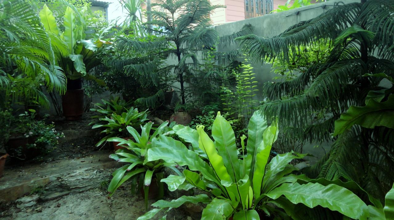 Moradok Thai Guesthouse Ayutthaya Eksteriør billede